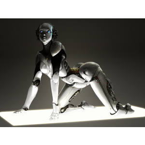 로보트